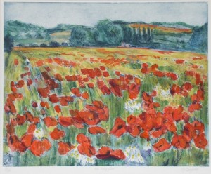The poppy field